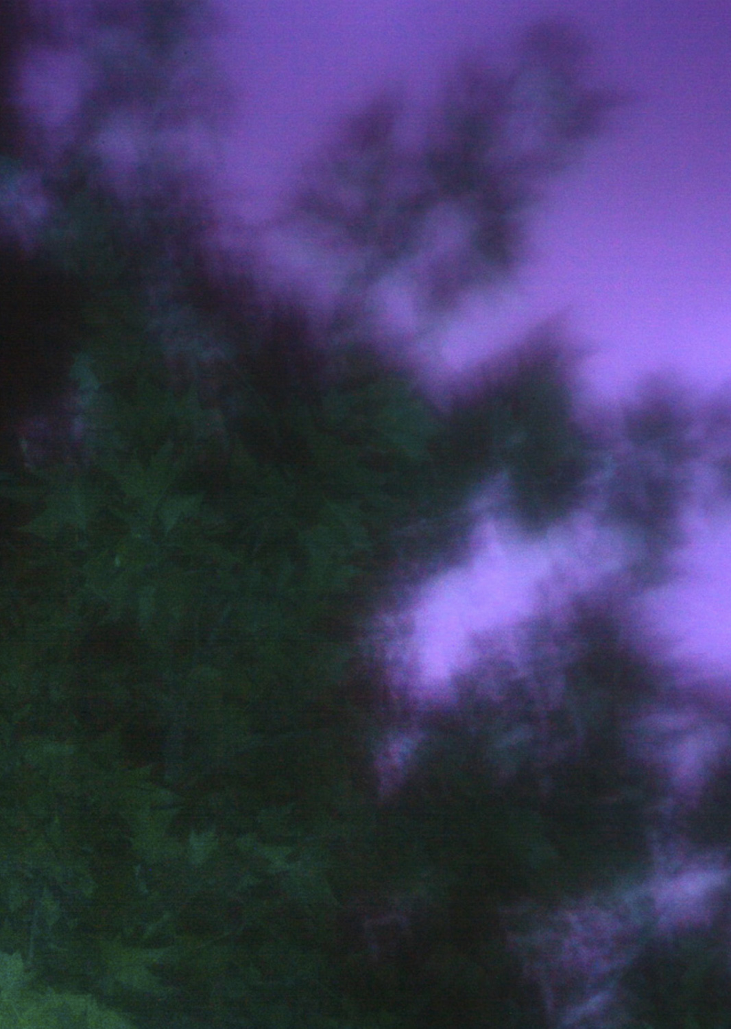 Color and blur based fine art photography. Céline Andreassen