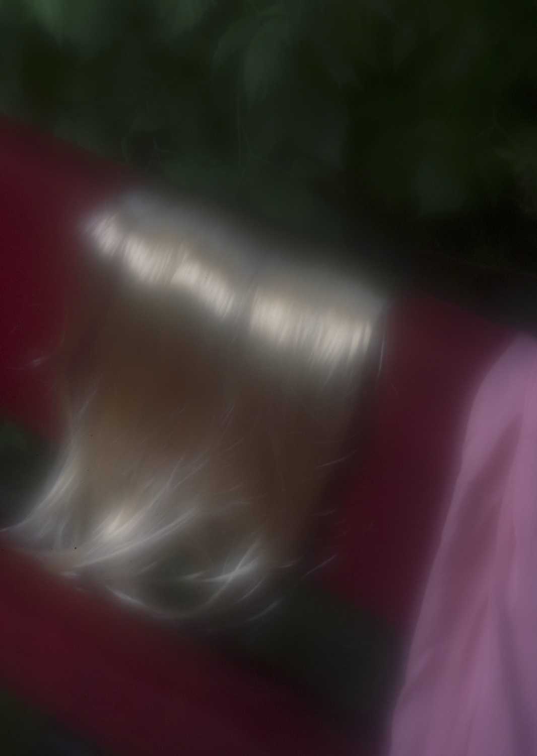 Color and blur based fine art photography. Céline Andreassen