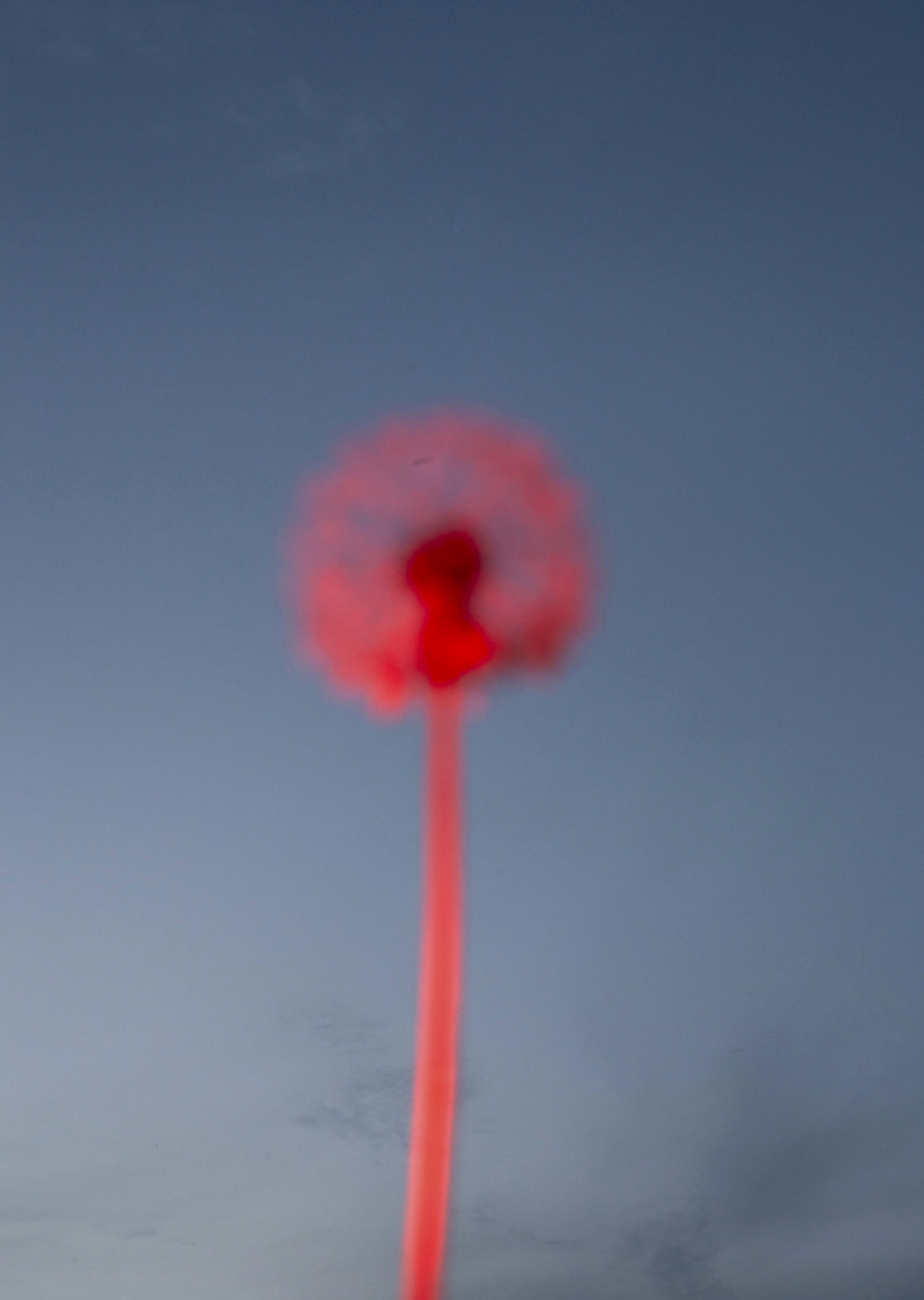 Color and blur based fine art photography. Céline Andreassen