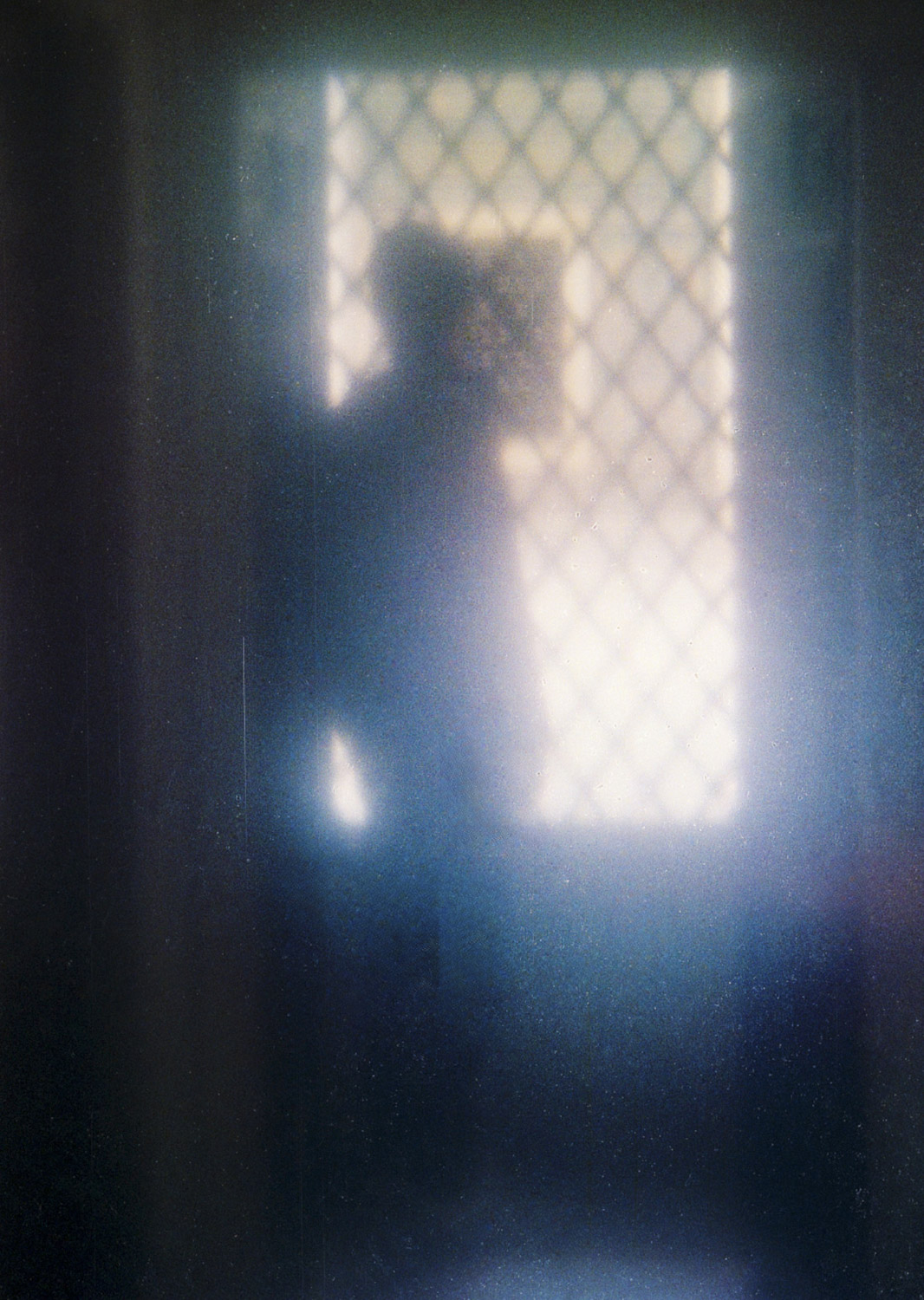 Color and blur based fine art photography. Céline Andreassen