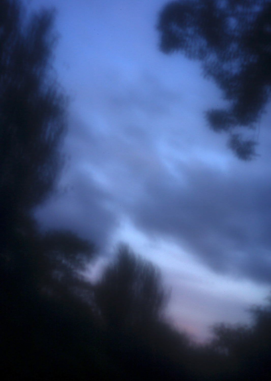 Color and blur based fine art photography. Céline Andreassen