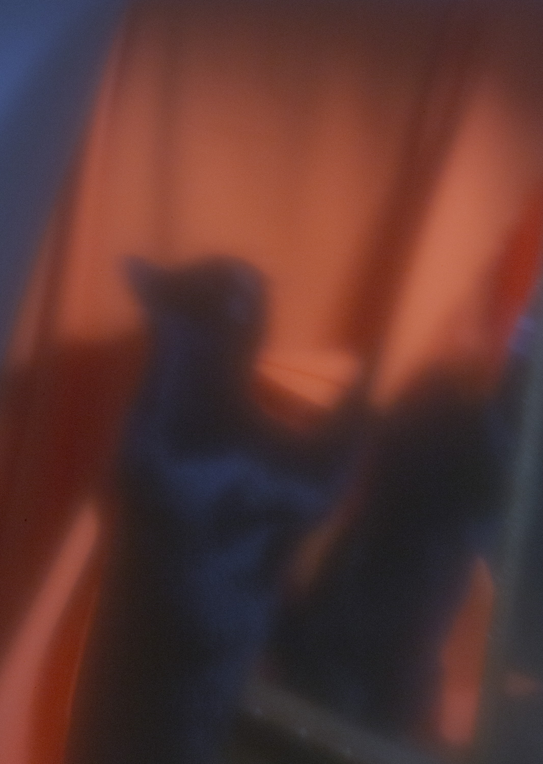 Color and blur based fine art photography. Céline Andreassen