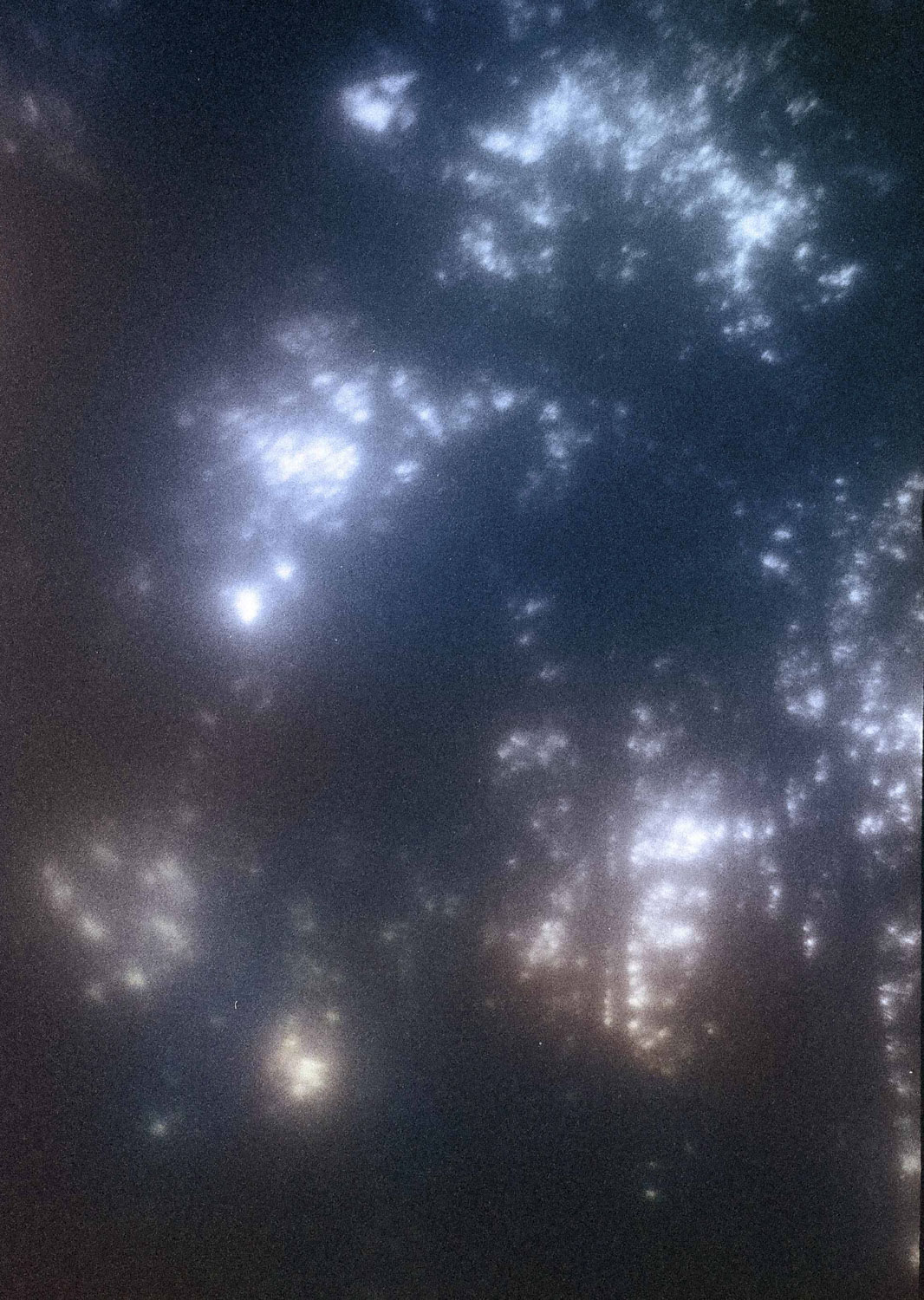 Color and blur based fine art photography. Céline Andreassen