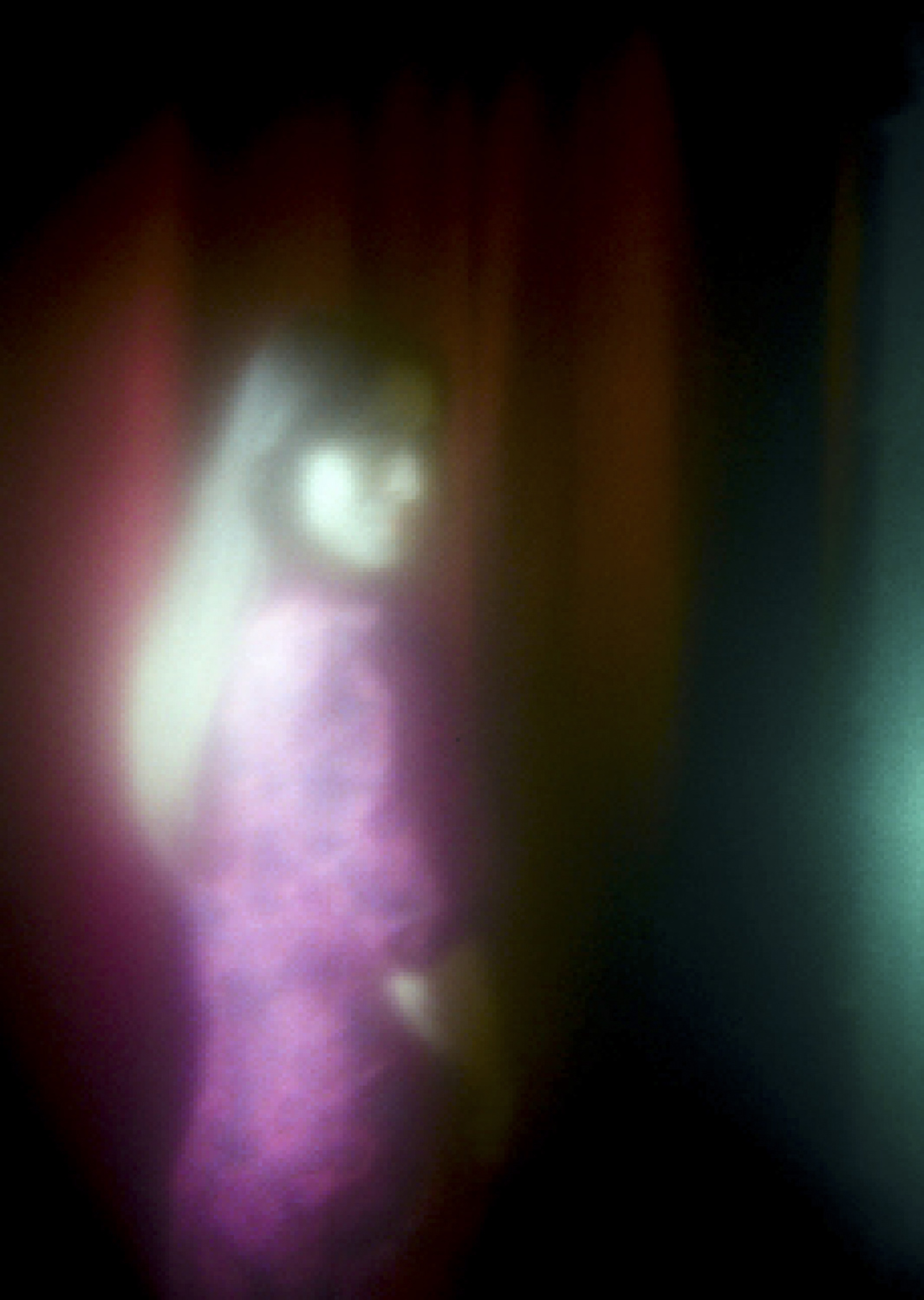 Color and blur based fine art photography. Céline Andreassen