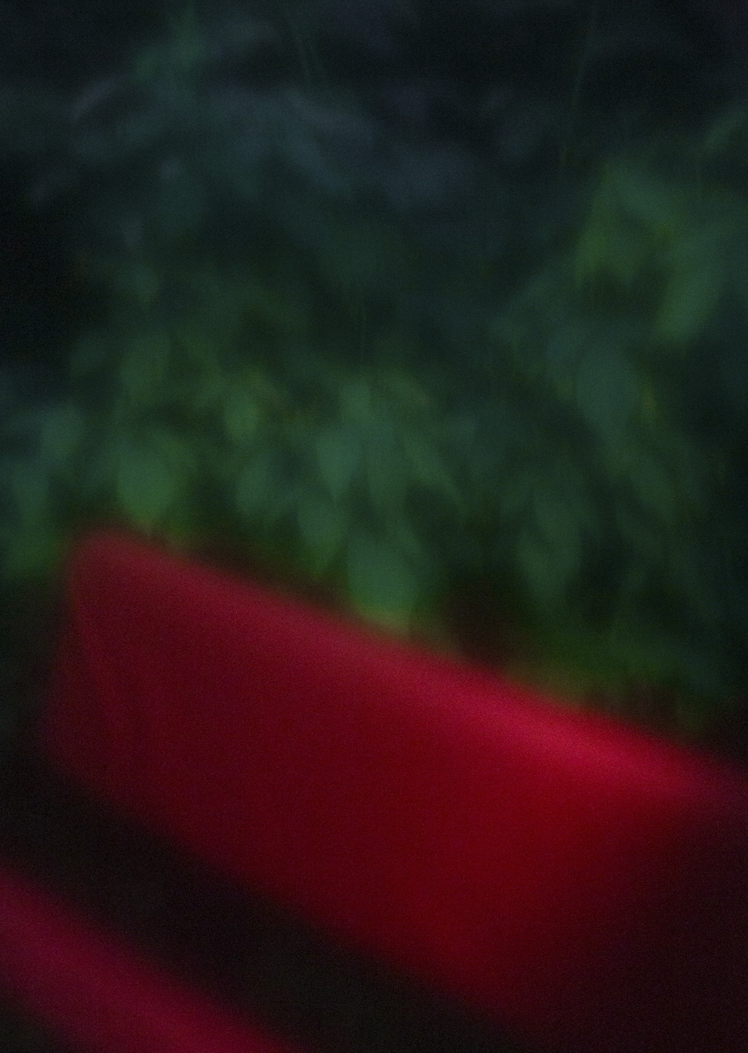 Color and blur based fine art photography. Céline Andreassen