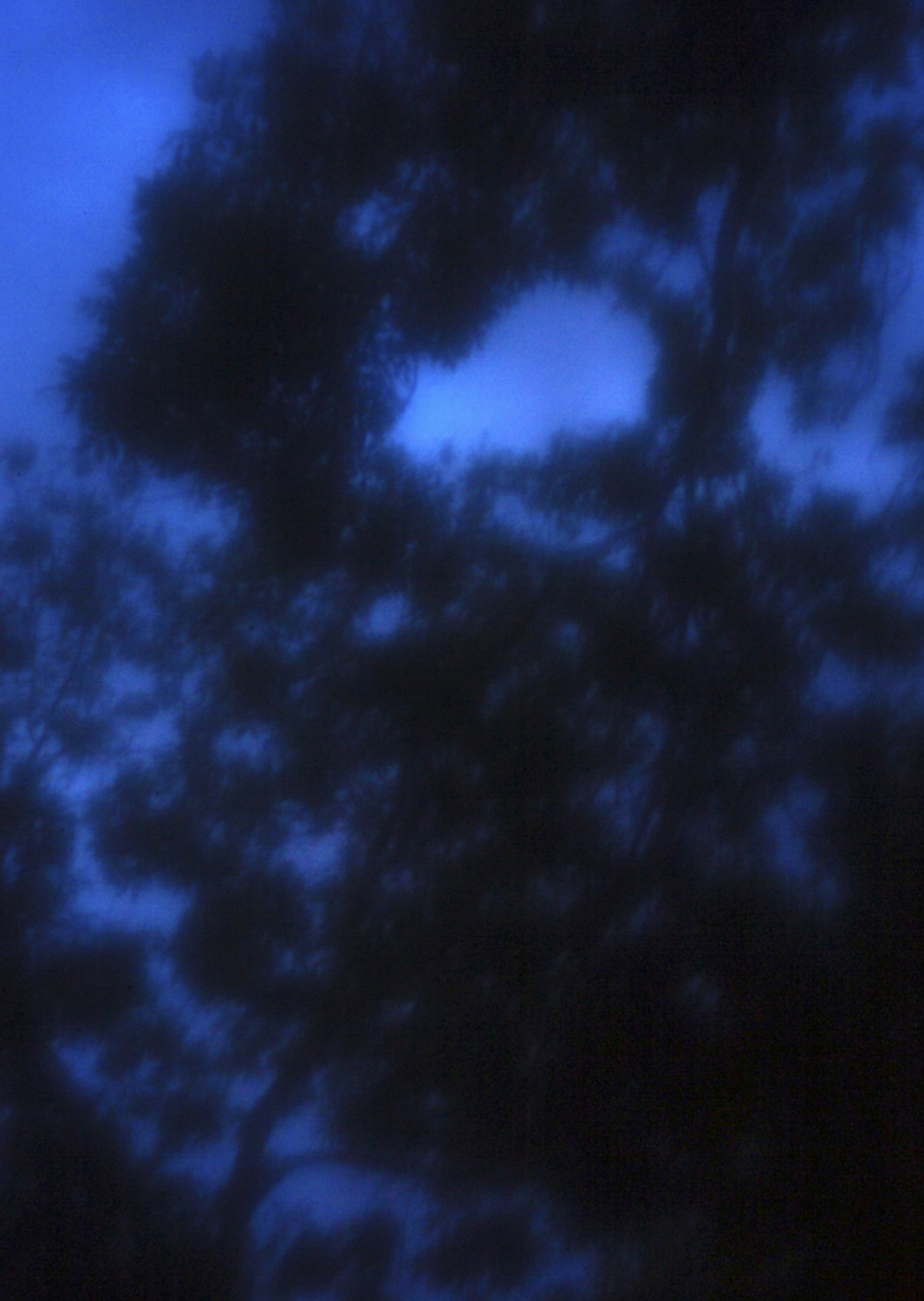 Color and blur based fine art photography. Céline Andreassen