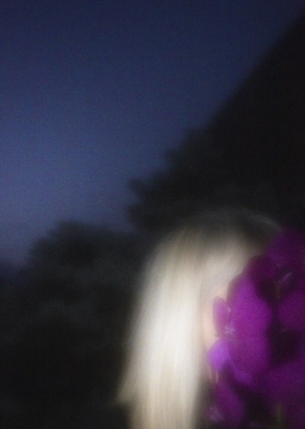 Color and blur based fine art photography. Céline Andreassen